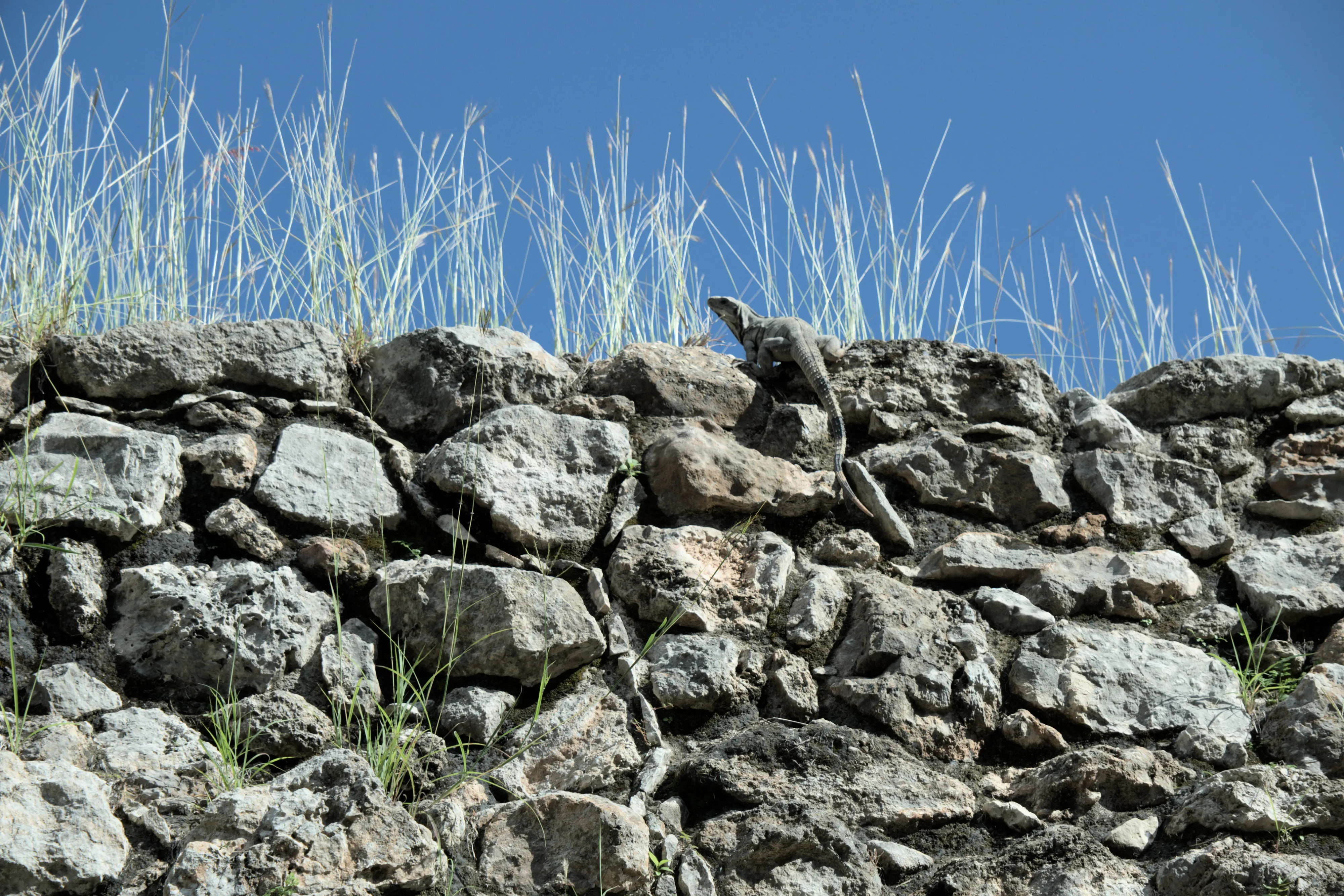Uxmal
