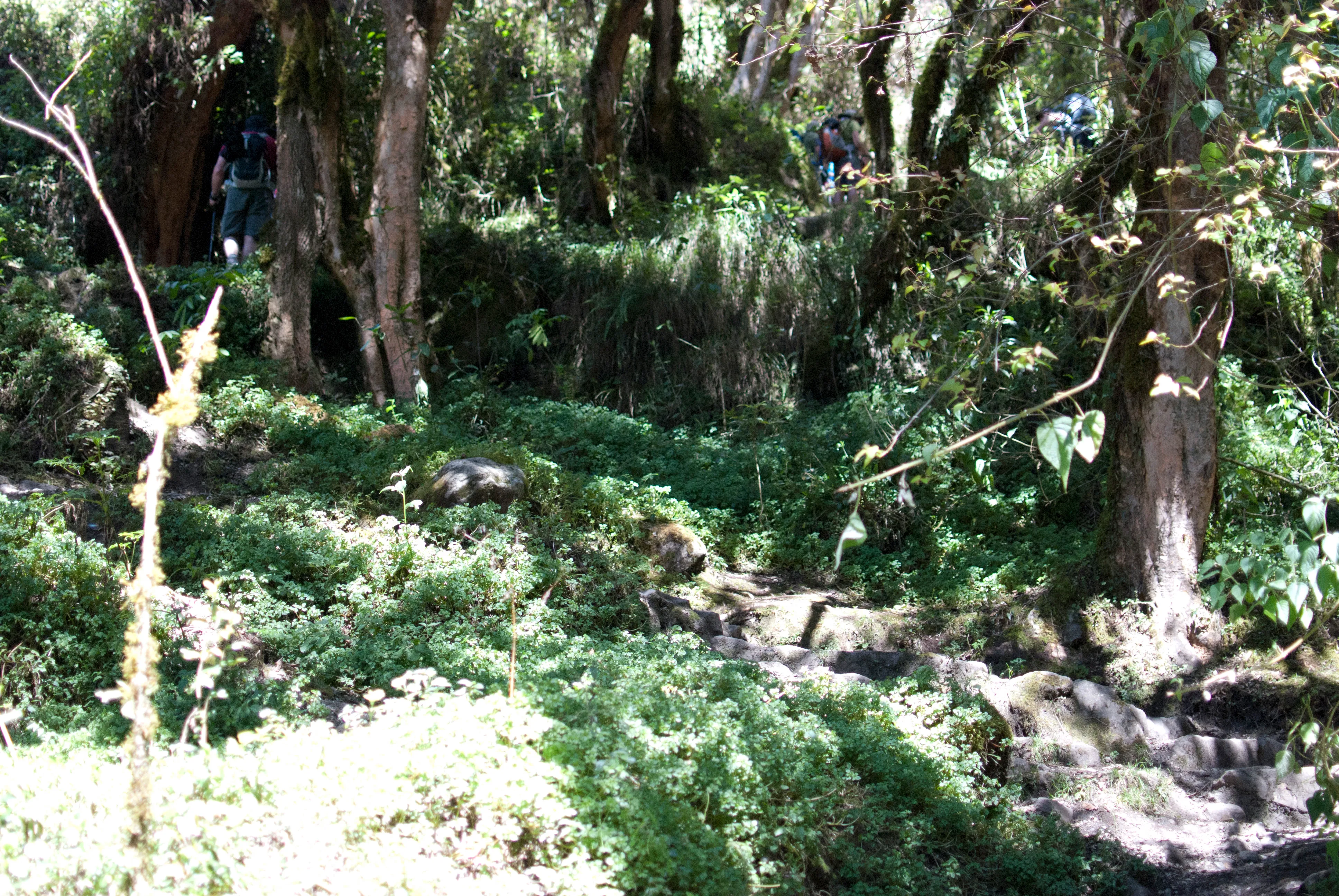 Hike