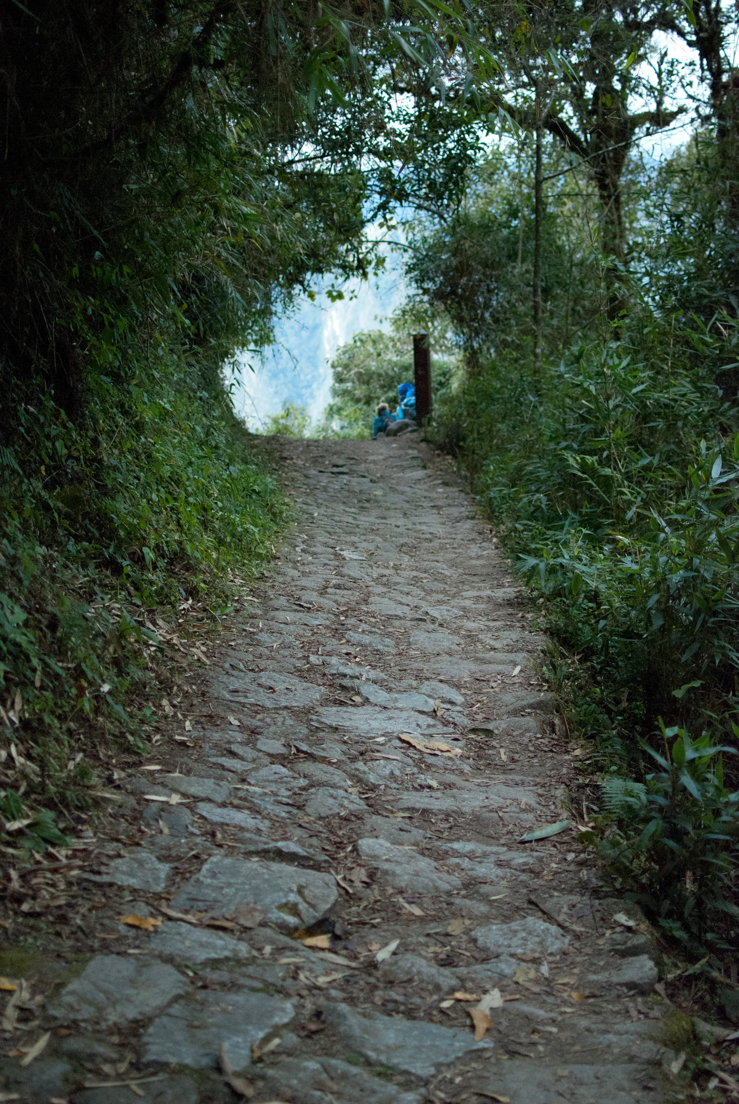Hike