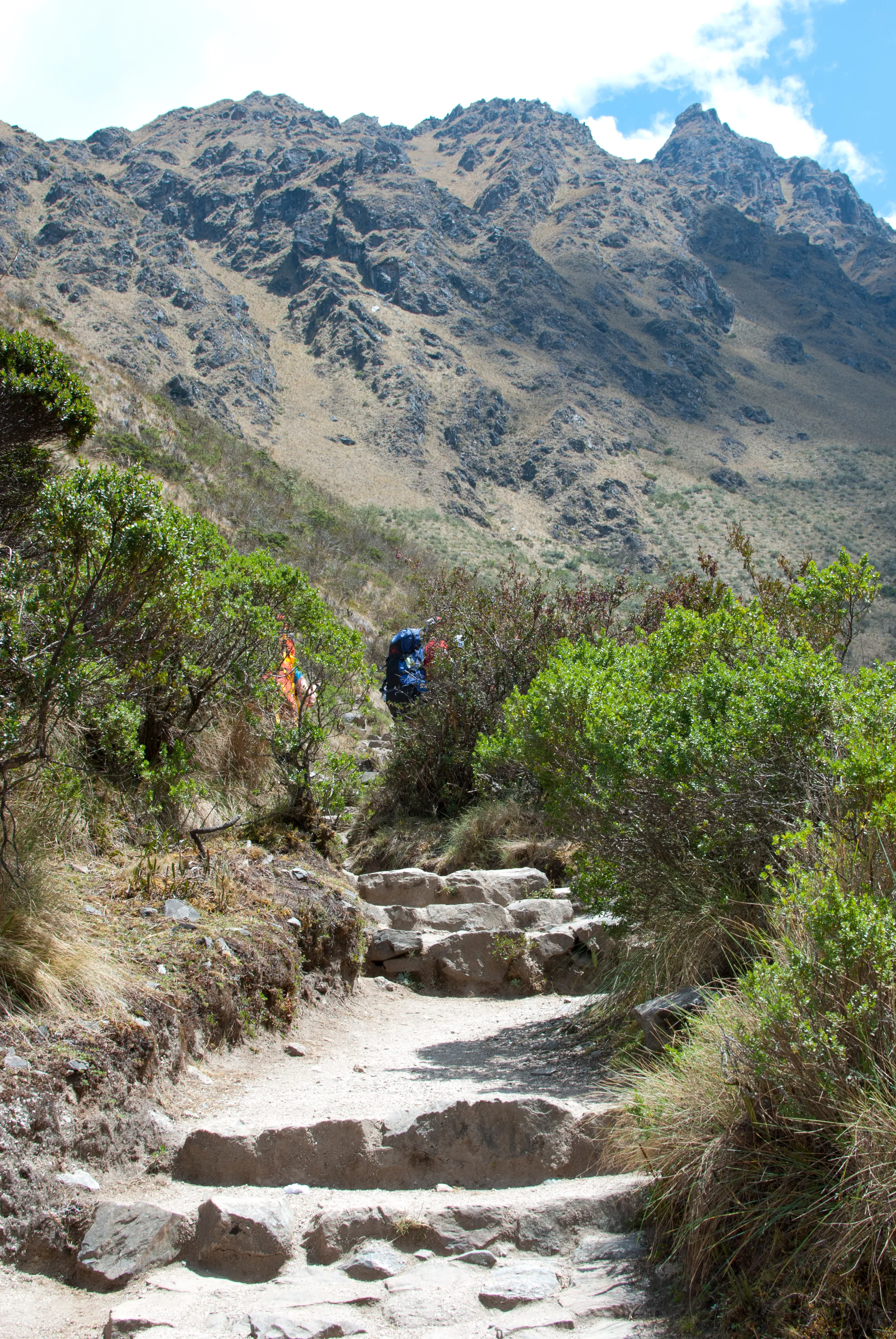 Hike