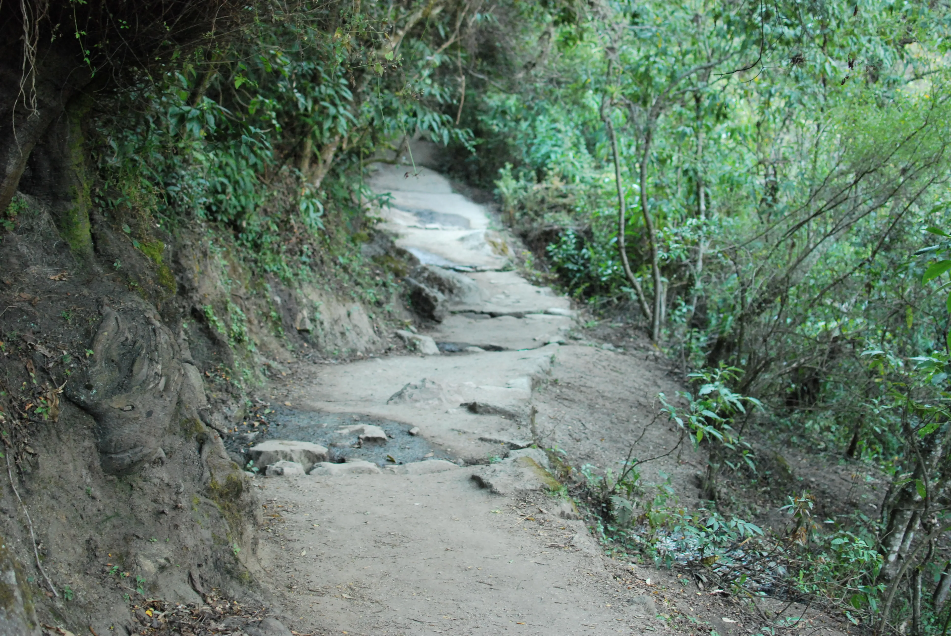 Hike
