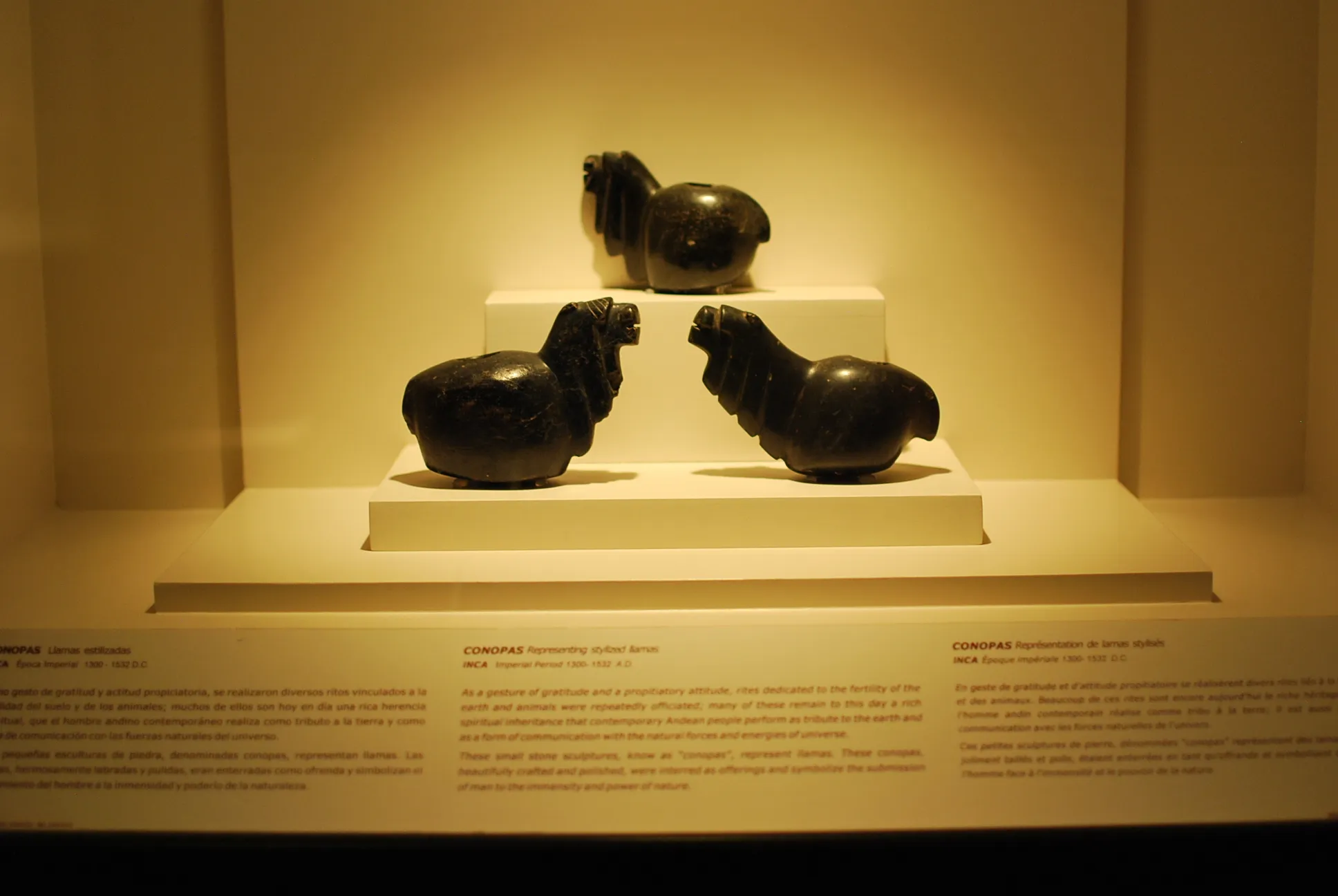 Museum