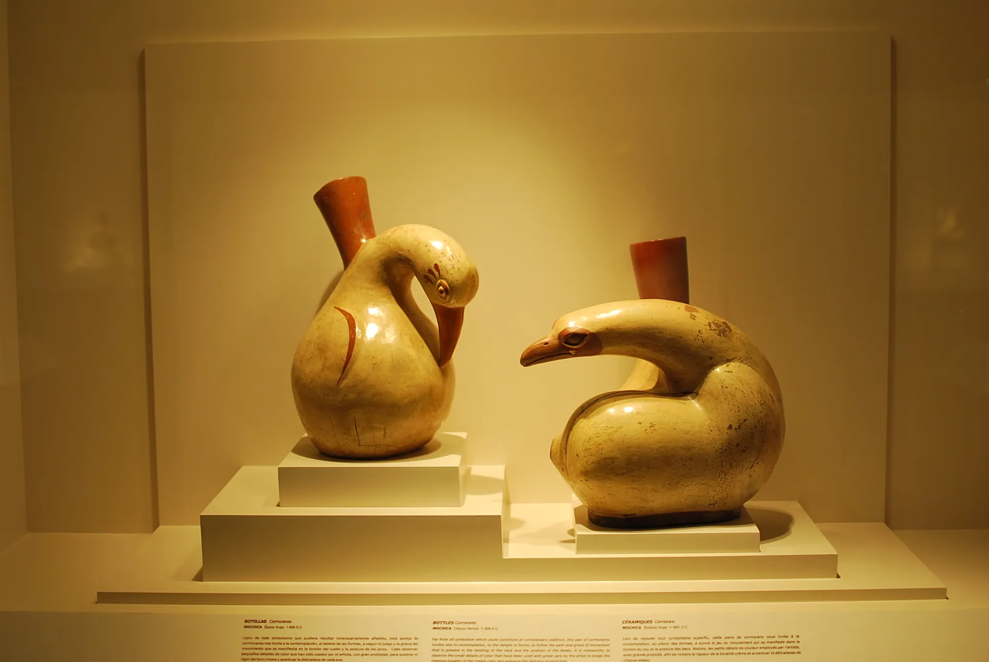 Museum